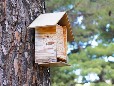 Fabrique ton nichoir