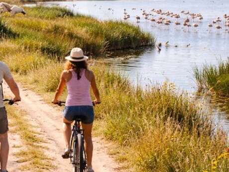 Balade vélo entre agriculture et biodiversité