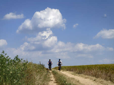 Site VTT FFC - Provence Verdon - Circuit 48 - Vert - La Verdière