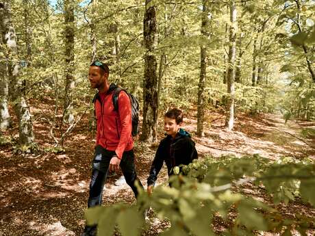 ST-LEGER-DU-VENTOUX - Sentier botanique de soleil et d'eau