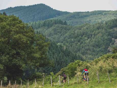 N°96 – Dans les pas des Charguerauds - Espace VTT-FFC Vichy Montagne