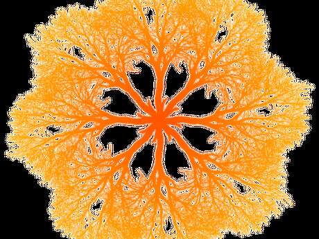 Yin Yoga Printemps-Détox & de bols chantants - Le Centre