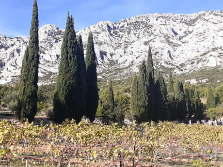 Vignobles et Terroir Aixois