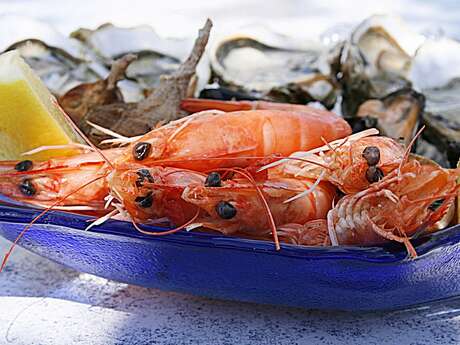 Matinée huîtres et crevettes