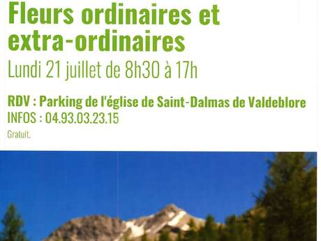 Fleurs ordinaires et extra-ordinaires
