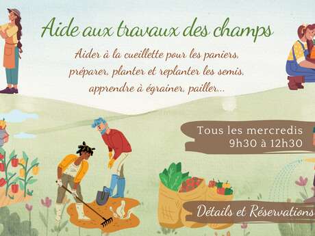 Aide aux travaux des champs