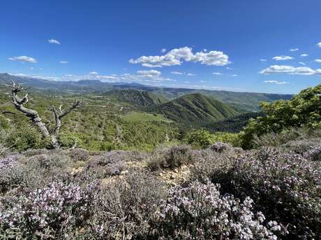 2 jours de GRAVEL en Haute-Provence