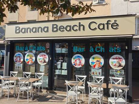 Le Miaou Miaou - Bar à Chats - Bananabeachcafe