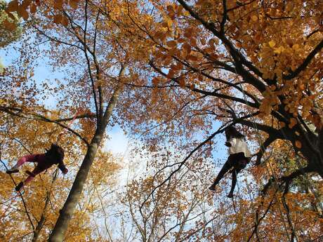 Automne 2025 - Bougez dans le Pilat - Grimpe d'arbres (à partir de 10 ans) - Collet de Doizieux