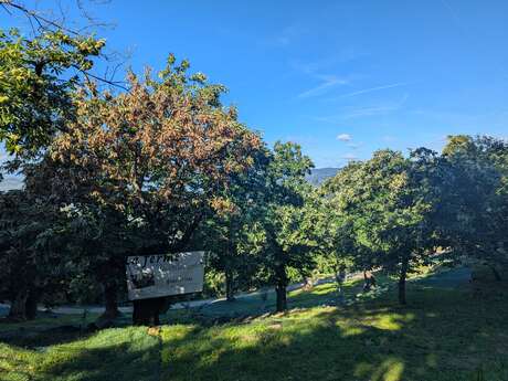 La ferme du châtaignier