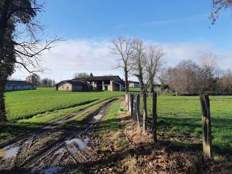 Sur les chemins de St Didier d'Aussiat (VTT)