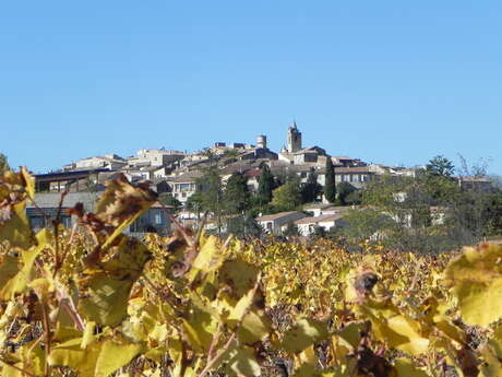 Itinéraire pédestre "Sentier des Vignerons"