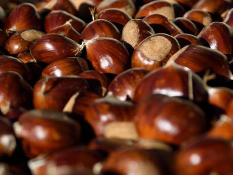 Atelier cuisine et chasse aux oeufs à la Maison de la Châtaigne