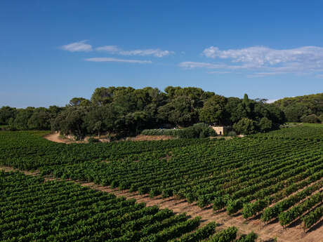 Estate - Château Bonisson