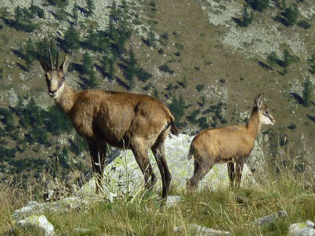 Randonnées montagne, Christiane Ray Anezin