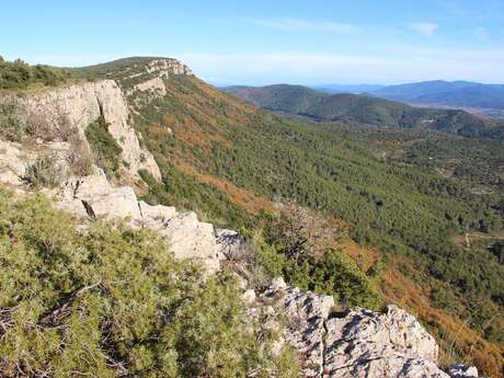 Geführte Wanderung zur Naturbeobachtung auf dem Gipfel der Barres de Cuers