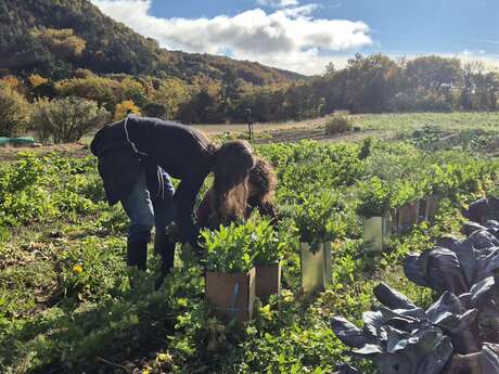 Visite et atelier cuisine aux jardins du Pas du Loup
