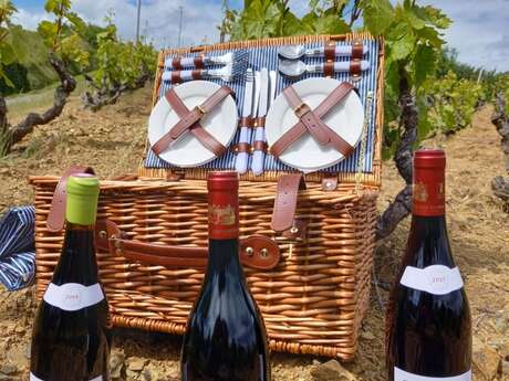 Fête de la musique et accords essentiels au Château Pesquié