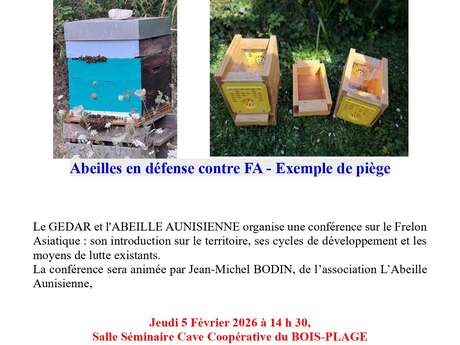 Conférence sur le frelon asiatique