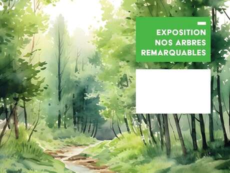 Exposition | Nos arbres remarquables