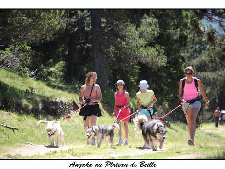 Cani-marche "Balade à 6 pattes" con Angaka