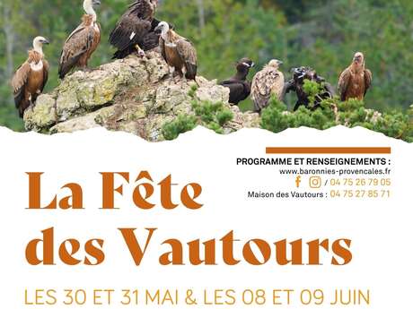 La Fête des Vautours - Kinodebatte