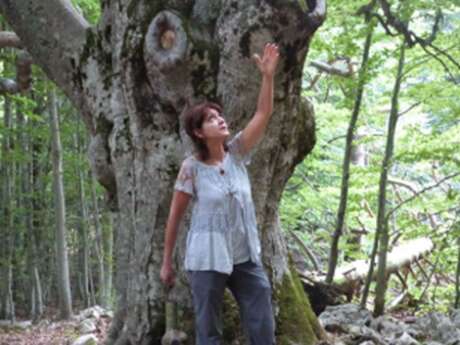 Balade contée dans le vieux village de Malaucène