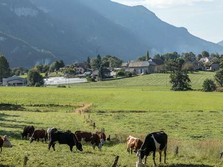 Les Hauts de Vimines