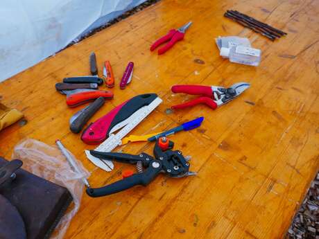 Atelier "Greffe d'agrumes"