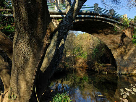 Berges de l'Issole - Prés de la Font & de Naple