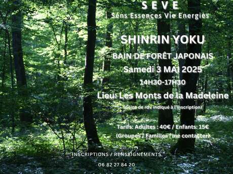 SEVE Sens Essences Vies Energies Un Bain d'une Nouvelle Nature