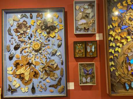 Exposition - Dany Lartigue : Saint-Tropez pour toujours