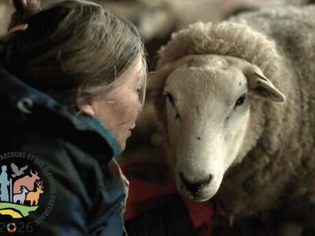 Rencontre culturelle : Projection de "Notes of Sheepland" suivi d'une discussion