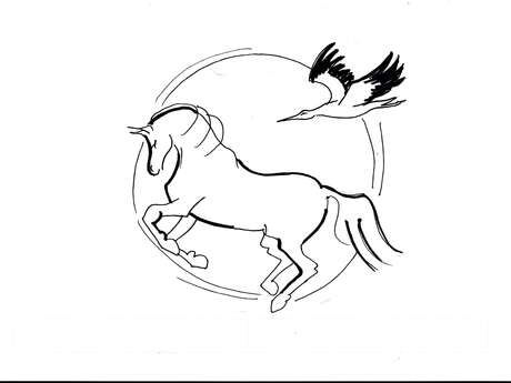 Activités équitation aux Haras d'Anibert