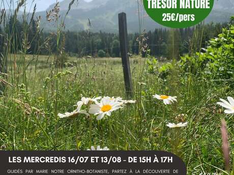 Chasse au trésor nature