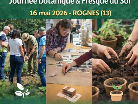 Fresque du sol et Botanique : une journée pour comprendre… et agir !