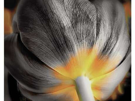 Exposition Association Esc'ale