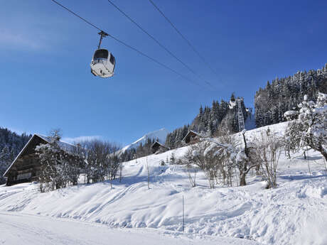 Essert cable car