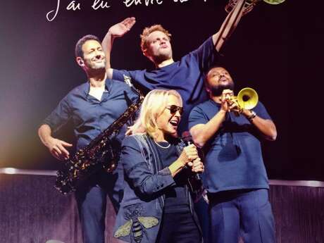 Véronique Sanson - J'ai eu envie de vous revoir