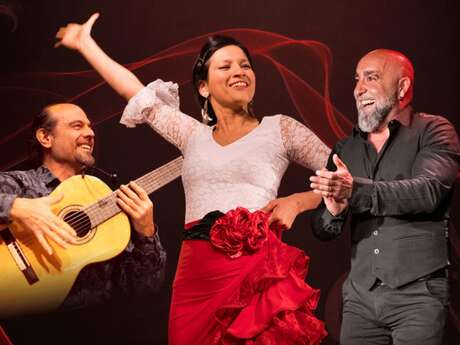 Flamenco - El Aire : Cie Julianna Ymira
