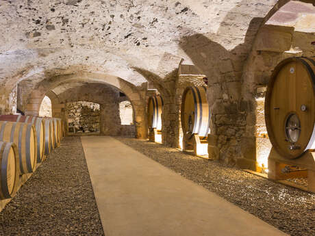 Dégustation insolite au coeur du chai à barriques au Château monastique des Bormettes