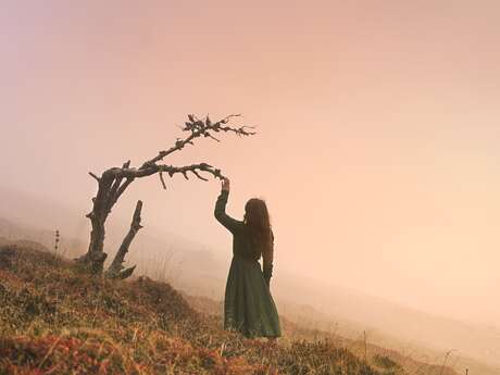 Exposition Les Estivales - L'Orée des légendes - Par Noémie Tochet &…