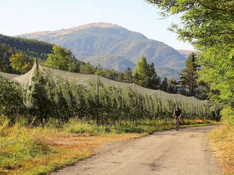 La Balade des vergers à VTT (N°1)