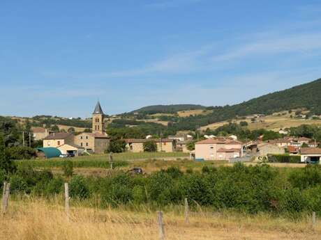 Boucle cyclo-découverte de la vigne à vélo