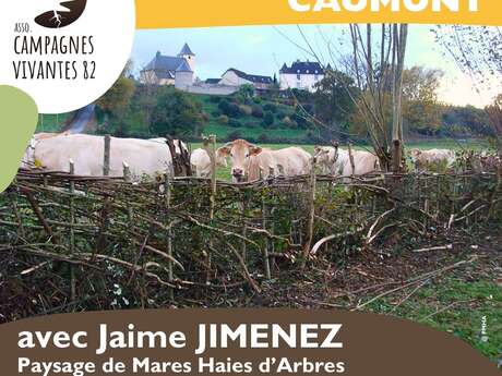 Workshop | Hedge planting