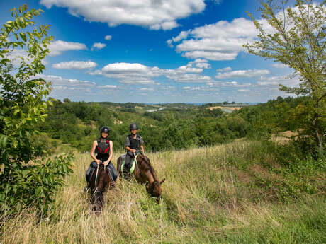 Balade et stage à cheval, baptême à poney