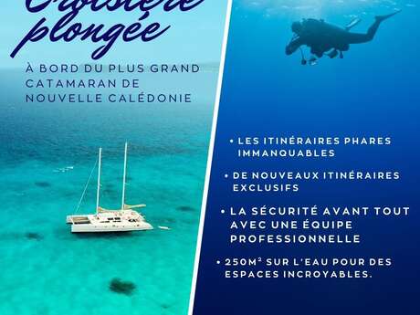 Odyssey Diving – West Coast Diving Cruise