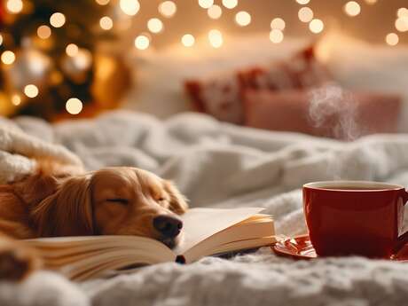 Sieste littéraire "L'esprit de Noël en rythme et en mots"