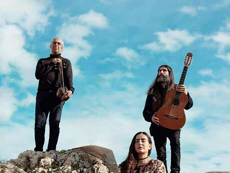 Trio Soltani en concert