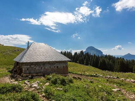 Recettes Sauvages des Montagnes